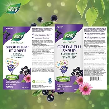 Sambucus Kids Elderberry Cold and Flu Syrup with Propolis, 120 mL