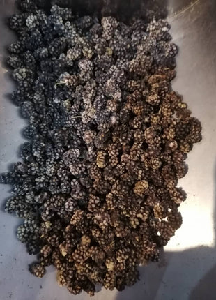 Organic Hand Chosen Eastern Dried Berries Ibrahim Khani