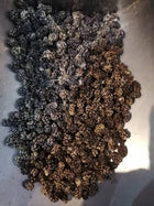 Organic Hand Chosen Eastern Dried Berries Ibrahim Khani