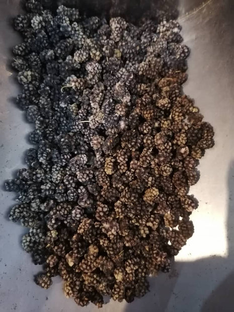 Organic Hand Chosen Eastern Dried Berries Ibrahim Khani