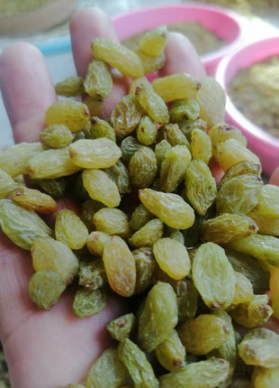 Organic Seedless Afghan Green Raisins