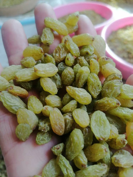 Organic Seedless Afghan Green Raisins