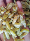 2.2 Pound (1Kg)