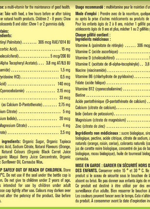 Kirkland Signature Children's Multi-vitamin Gummies - 250 gummies